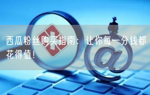 西瓜粉丝购买指南：让你每一分钱都花得值！