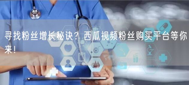 寻找粉丝增长秘诀？西瓜视频粉丝购买平台等你来！