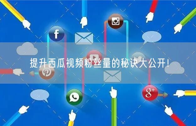 提升西瓜视频粉丝量的秘诀大公开！