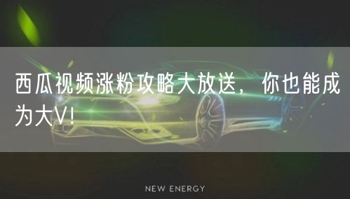 西瓜视频涨粉攻略大放送，你也能成为大V！