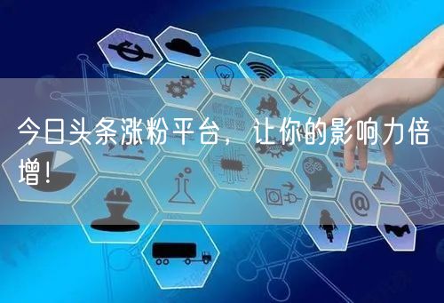 今日头条涨粉平台，让你的影响力倍增！