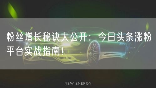 粉丝增长秘诀大公开：今日头条涨粉平台实战指南！