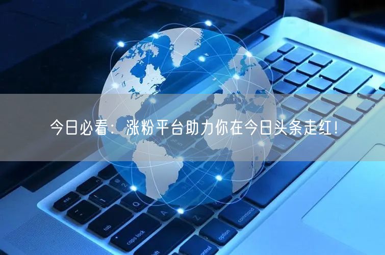今日必看：涨粉平台助力你在今日头条走红！