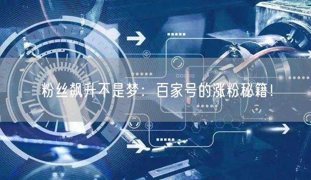 粉丝飙升不是梦：百家号的涨粉秘籍！