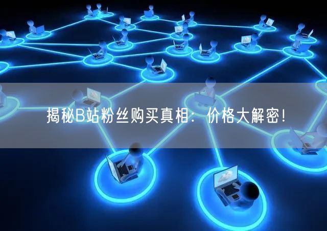 揭秘B站粉丝购买真相：价格大解密！