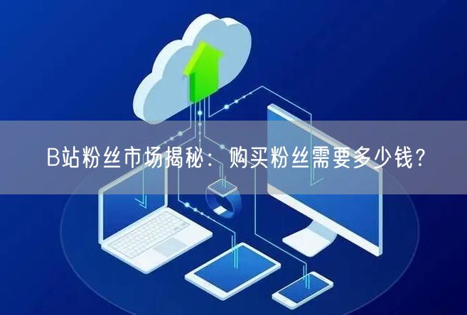 B站粉丝市场揭秘：购买粉丝需要多少钱？