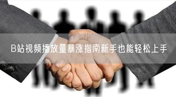 B站视频播放量暴涨指南新手也能轻松上手