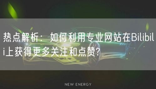 热点解析：如何利用专业网站在Bilibili上获得更多关注和点赞?