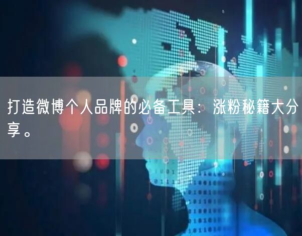 打造微博个人品牌的必备工具:涨粉秘籍大分享。