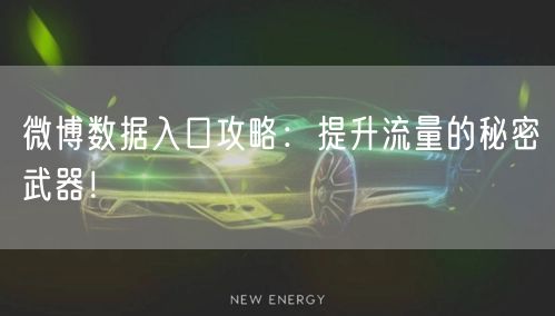 微博数据入口攻略：提升流量的秘密武器！