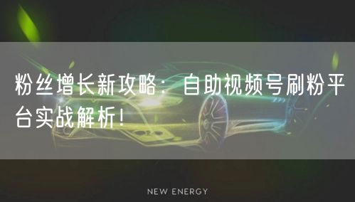 粉丝增长新攻略:自助视频号刷粉平台实战解析!