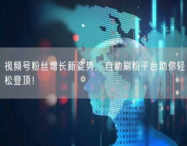 视频号粉丝增长新姿势，自助刷粉平台助你轻松登顶！