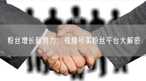 粉丝增长新势力：视频号买粉丝平台大解密
