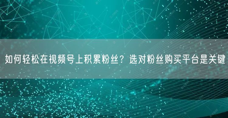 如何轻松在视频号上积累粉丝？选对粉丝购买平台是关键