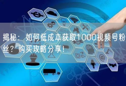 揭秘：如何低成本获取1000视频号粉丝？购买攻略分享！