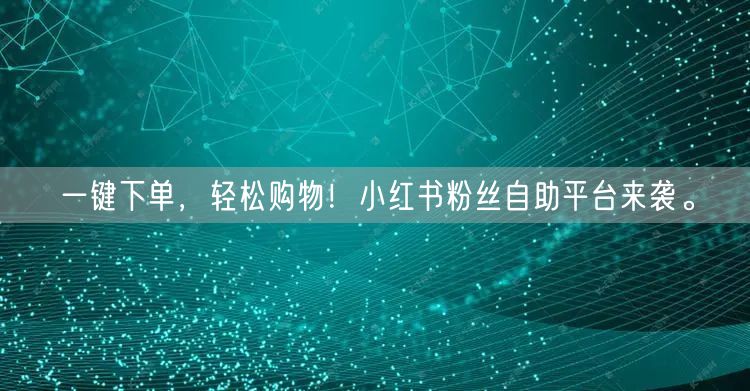 一键下单，轻松购物！小红书粉丝自助平台来袭。