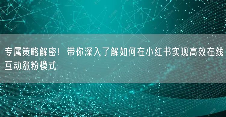 专属策略解密！带你深入了解如何在小红书实现高效在线互动涨粉模式