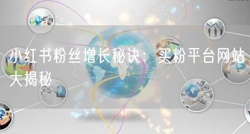 小红书粉丝增长秘诀：买粉平台网站大揭秘