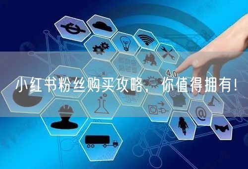 小红书粉丝购买攻略，你值得拥有！