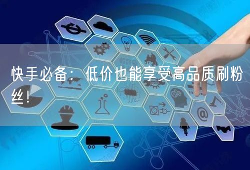 快手必备：低价也能享受高品质刷粉丝！