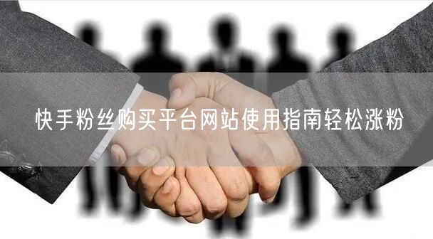 快手粉丝购买平台网站使用指南轻松涨粉